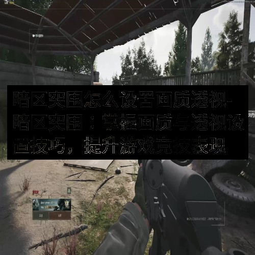暗区突围怎么设罟画质透视-暗区突围：掌握画质与透视设置技巧，