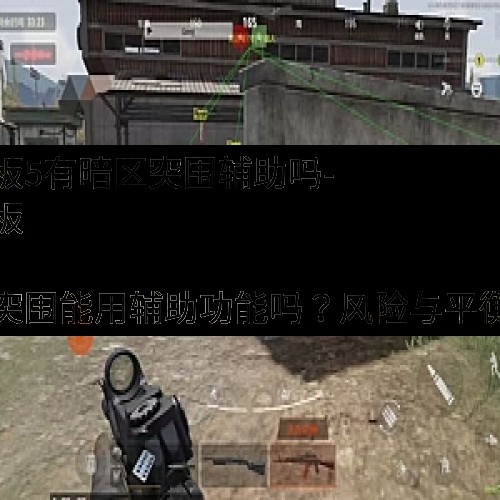 小米平板5有暗区突围辅助吗-小米平板 5 玩暗区突围能用辅助